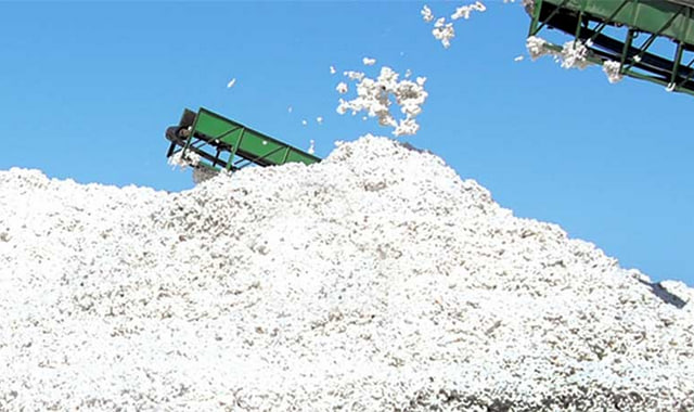 na-torgah-gtsbt-obshaya-summa-sdelok-sostavila-svyshe-7-millionov-763-tysyac-dollarov-ssha