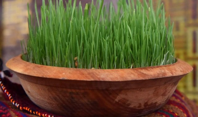 na-torgah-gtsbt-obshaya-summa-sdelok-sostavila-svyshe-7-millionov-763-tysyac-dollarov-ssha