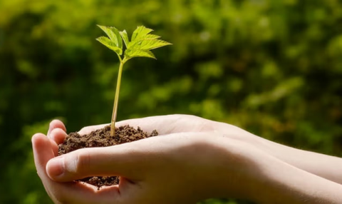 В Туркменистане обсудили развитие экологической науки