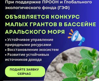 ПРООН объявила конкурс малых грантов для регионов Туркменистана