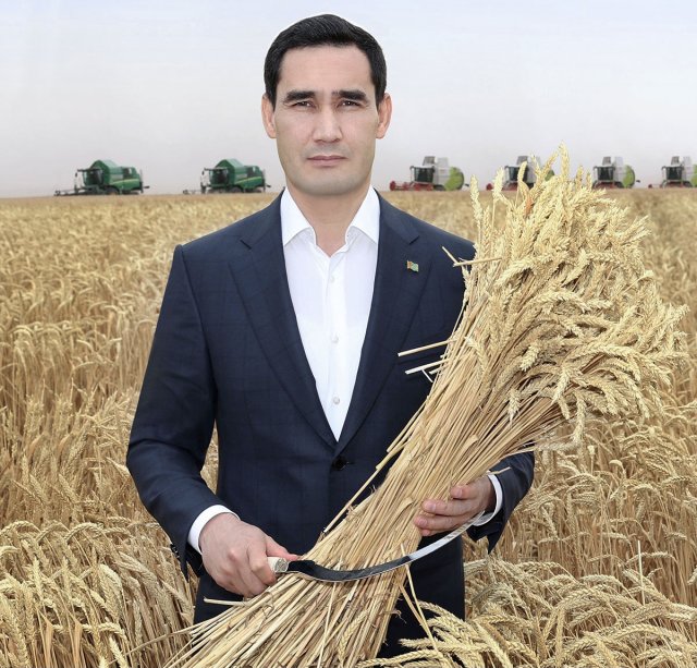 na-torgah-gtsbt-obshaya-summa-sdelok-sostavila-svyshe-7-millionov-763-tysyac-dollarov-ssha