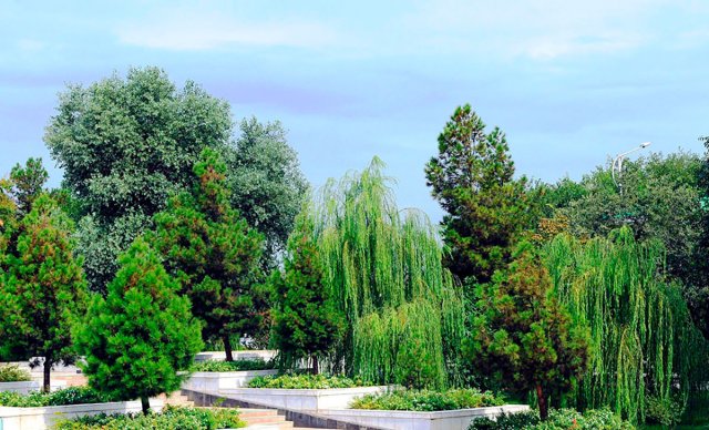 na-torgah-gtsbt-obshaya-summa-sdelok-sostavila-svyshe-7-millionov-763-tysyac-dollarov-ssha