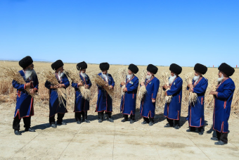 В Дашогузском и Балканском велаятах приступили к сбору урожая пшеницы