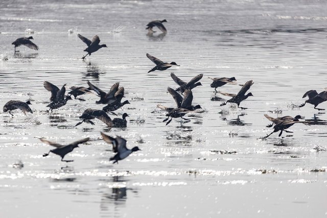 na-torgah-gtsbt-obshaya-summa-sdelok-sostavila-svyshe-7-millionov-763-tysyac-dollarov-ssha