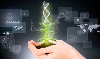 В Туркменистане пройдет олимпиада по генетике для студентов высших школ