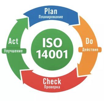 Частный бизнес Туркменистана делает ставку на инновации и рост экспорта