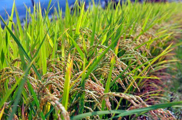 na-torgah-gtsbt-obshaya-summa-sdelok-sostavila-svyshe-7-millionov-763-tysyac-dollarov-ssha