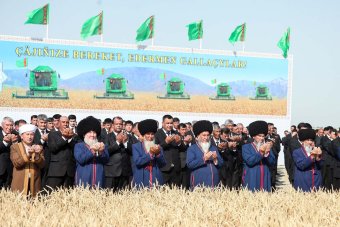 В Дашогузском и Балканском велаятах Туркменистана началась уборка пшеницы