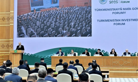 Замглавы МИД Туркменистана выступил на Инвестиционном форуме в Авазе