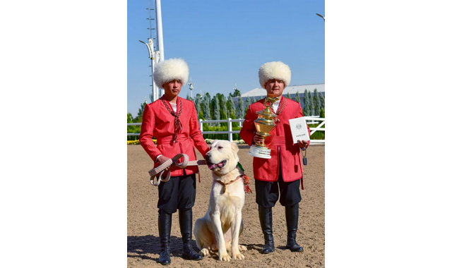 na-torgah-gtsbt-obshaya-summa-sdelok-sostavila-svyshe-7-millionov-763-tysyac-dollarov-ssha