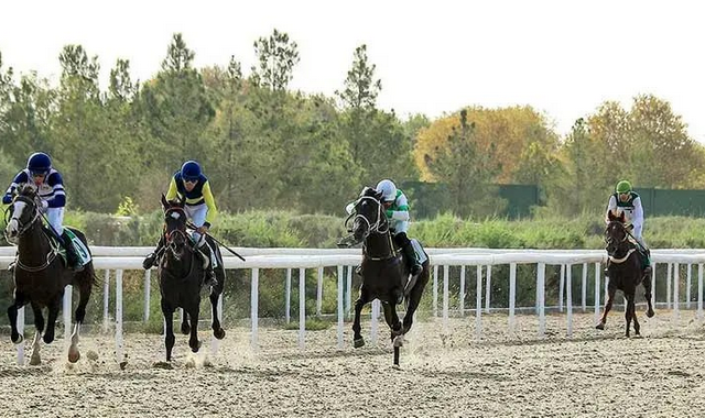 na-torgah-gtsbt-obshaya-summa-sdelok-sostavila-svyshe-7-millionov-763-tysyac-dollarov-ssha