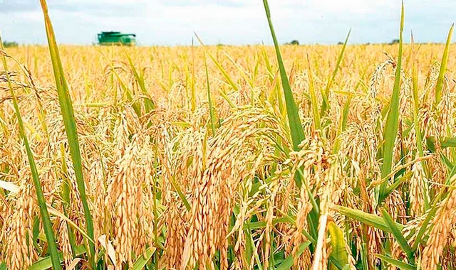 na-torgah-gtsbt-obshaya-summa-sdelok-sostavila-svyshe-7-millionov-763-tysyac-dollarov-ssha