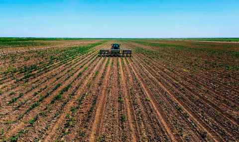 Хяким Ахалского велаята Туркменистана доложил о ходе сельхозработ