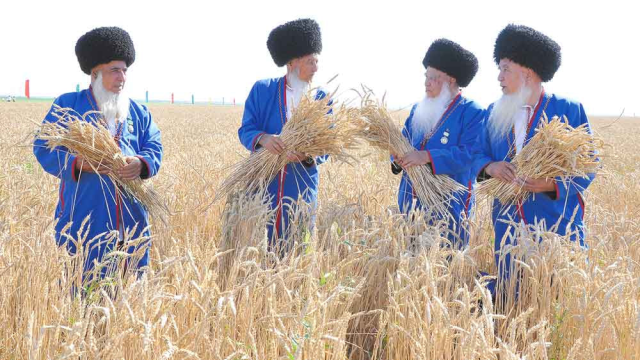 na-torgah-gtsbt-obshaya-summa-sdelok-sostavila-svyshe-7-millionov-763-tysyac-dollarov-ssha