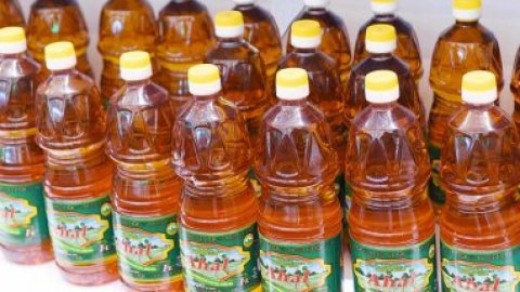 Производство экологичного масла «Ахал» в Туркменистане выросло на 126%