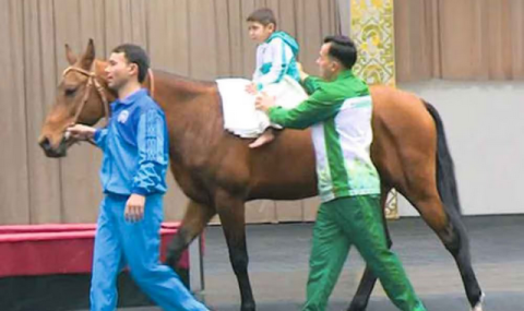 Ахалтекинские скакуны укрепляют здоровье подрастающего поколения