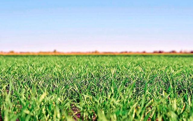 na-torgah-gtsbt-obshaya-summa-sdelok-sostavila-svyshe-7-millionov-763-tysyac-dollarov-ssha