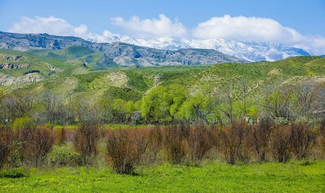 na-torgah-gtsbt-obshaya-summa-sdelok-sostavila-svyshe-7-millionov-763-tysyac-dollarov-ssha