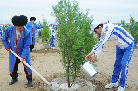 Завтра в Туркменистане стартует осенняя кампания по озеленению