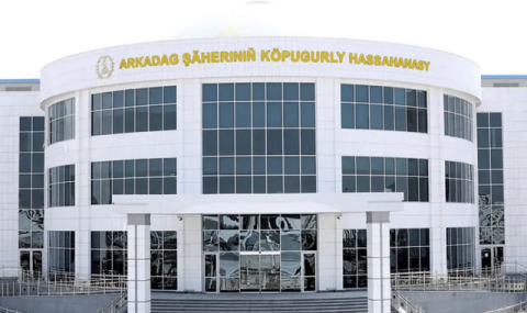 Немецкий профессор делится опытом с туркменскими врачами