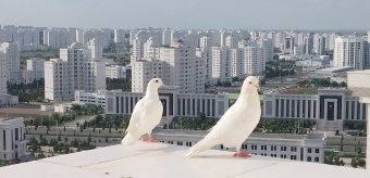 Сцена мечты: студия «ТА-ТаЛ» обрела свой новый дом в Ашхабаде