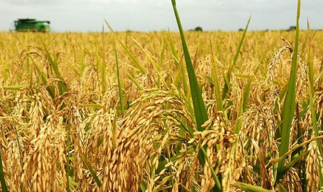 na-torgah-gtsbt-obshaya-summa-sdelok-sostavila-svyshe-7-millionov-763-tysyac-dollarov-ssha