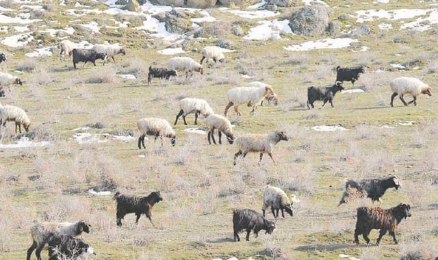 na-torgah-gtsbt-obshaya-summa-sdelok-sostavila-svyshe-7-millionov-763-tysyac-dollarov-ssha