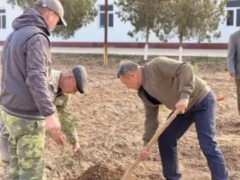 В заповеднике Туркменистана проведена озеленительная акция