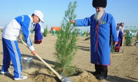 Сердар Бердымухамедов дал поручение о посадке 3 миллионов деревьев в Туркменистане